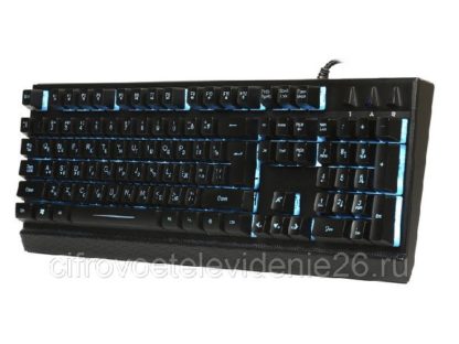 Клавиатура игровая мультимедийная Smartbuy RUSH 601 (SBK-601G-K)(USB)